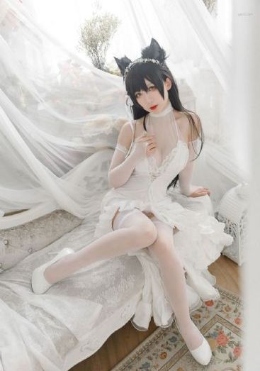 隐形战队粤语